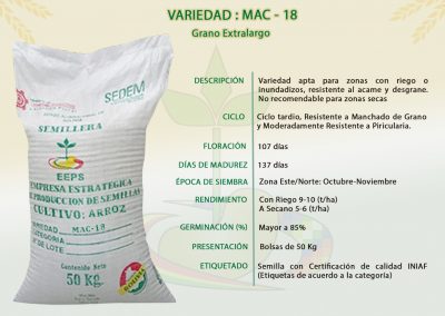 VARIEDAD: MAC-18