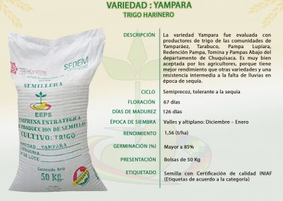 VARIEDAD: YAMPARA