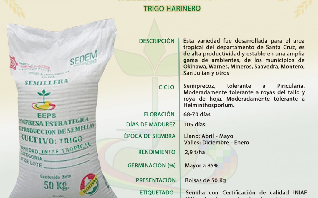 VARIEDAD: INIAF TROPICAL