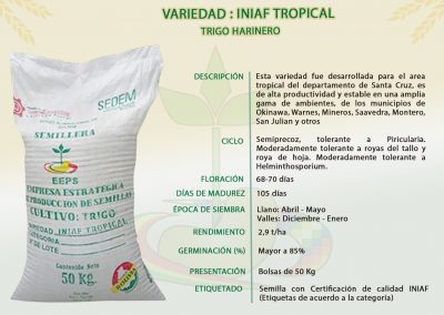 VARIEDAD: INIAF TROPICAL