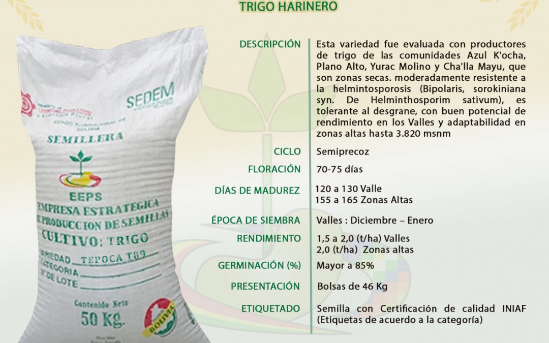 VARIEDAD: TEPOCA T89