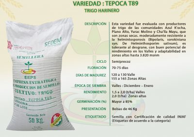 VARIEDAD: TEPOCA T89