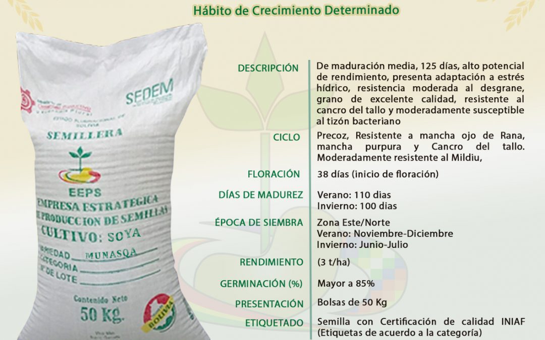 VARIEDAD: MUNASQA